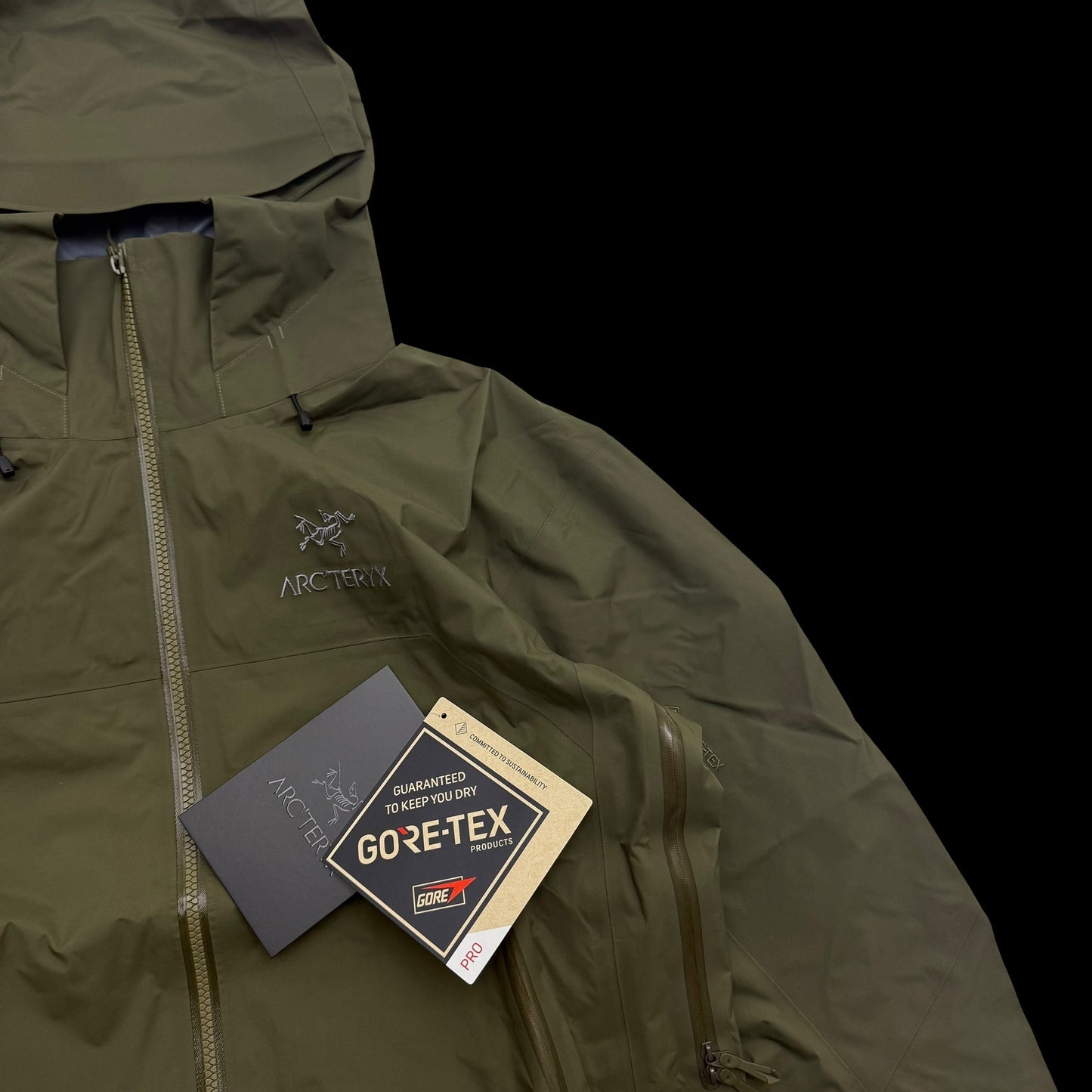 Arc'teryx Beta AR Gore-Tex Pro Jacket ‘Tatsu’ Green (Size M)