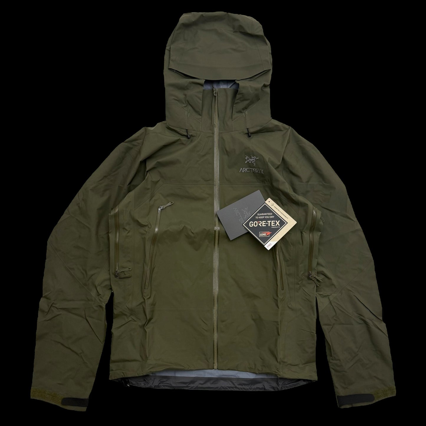 Arc'teryx Beta AR Gore-Tex Pro Jacket ‘Tatsu’ Green (Size M)
