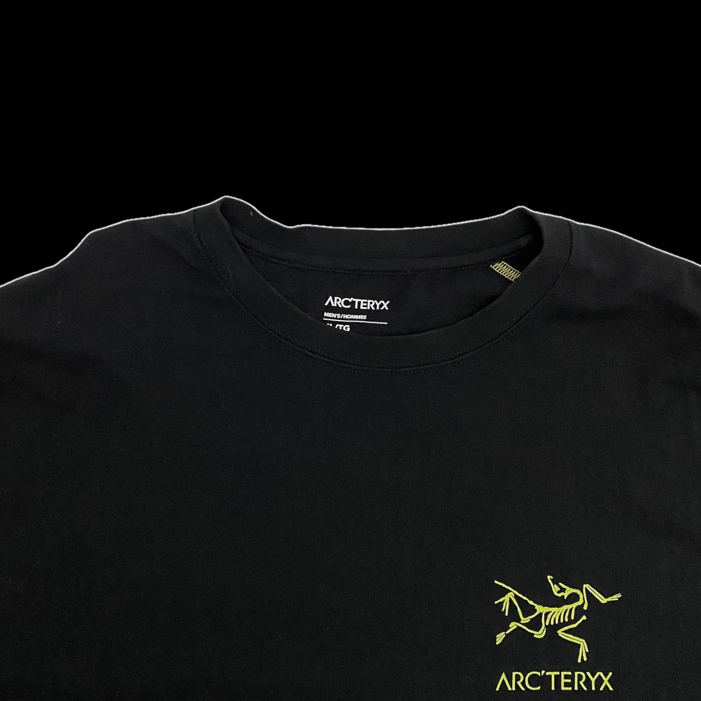 Arc'teryx System A Copal Bird T-shirt (Fits L-XL)