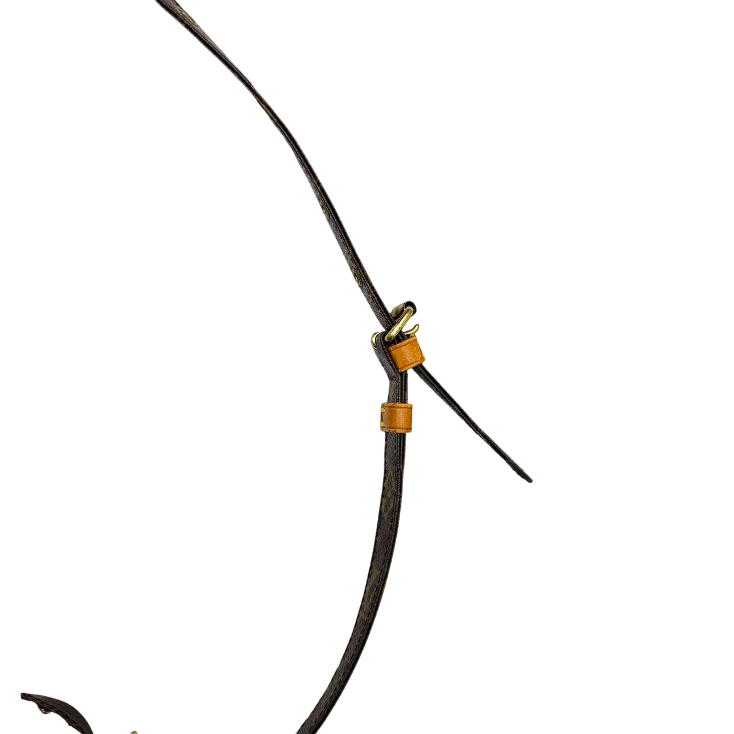 Vintage Louis Vuitton Amazone Pm Crossbody Shoulder Bag