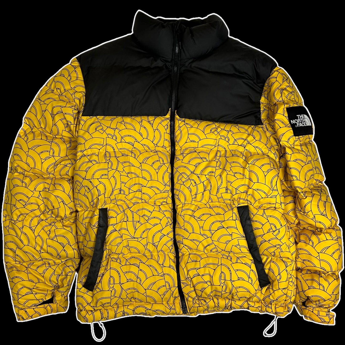 The North Face 1992 Retro Nupste 700 Dome-Print Down Jacket (Size L)