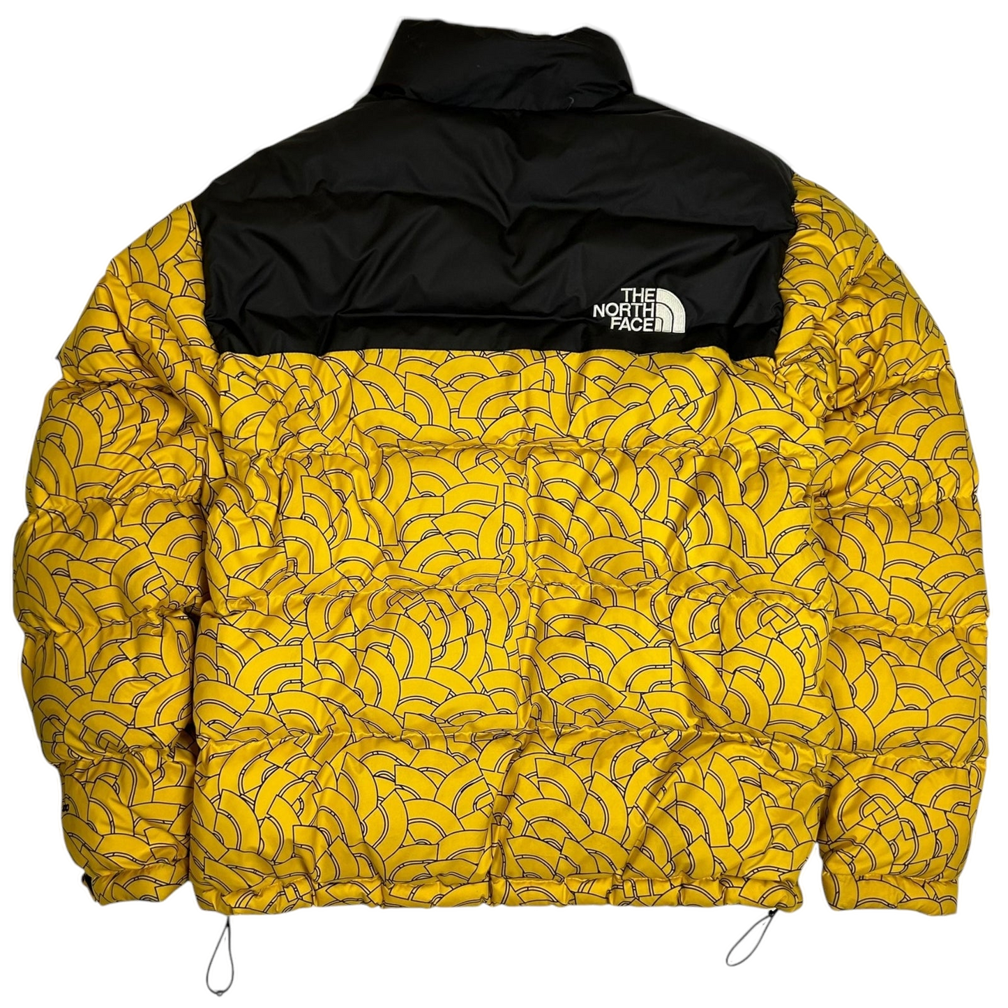 The North Face 1992 Retro Nupste 700 Dome-Print Down Jacket (Size L)