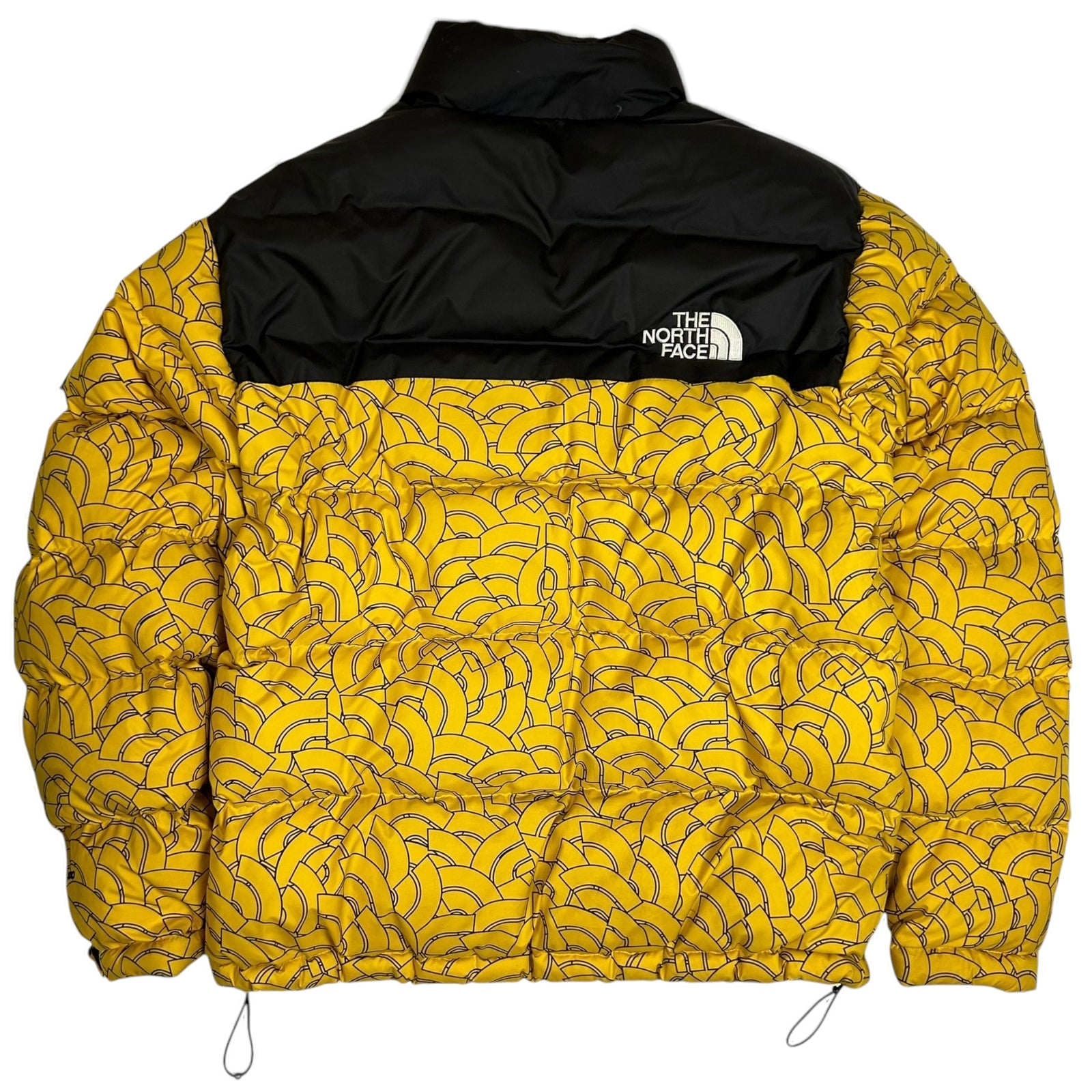 The North Face 1992 Retro Nupste 700 Dome-Print Down Jacket (Size L)