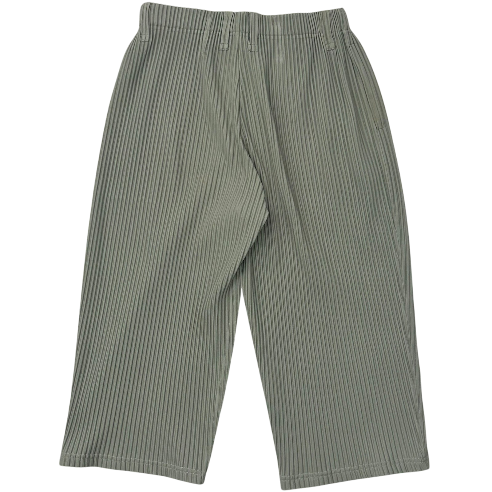 Issey Miyake Homme Plisse JF209 Pleated Wide Pants Grey (Fits M-L)