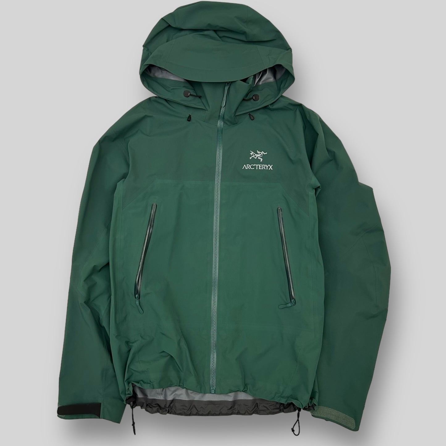 Rare Arc’teryx Beta AR  Goretex Jacket ‘Dark Elysium’ Green (Fits M/L)