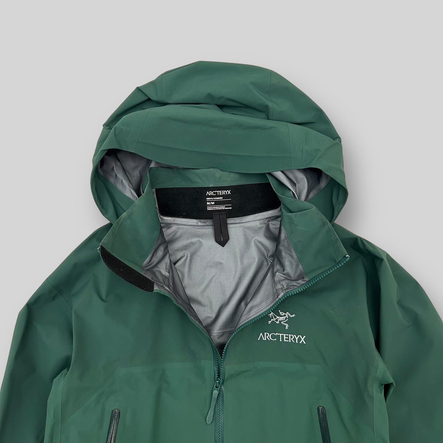 Rare Arc’teryx Beta AR  Goretex Jacket ‘Dark Elysium’ Green (Fits M/L)