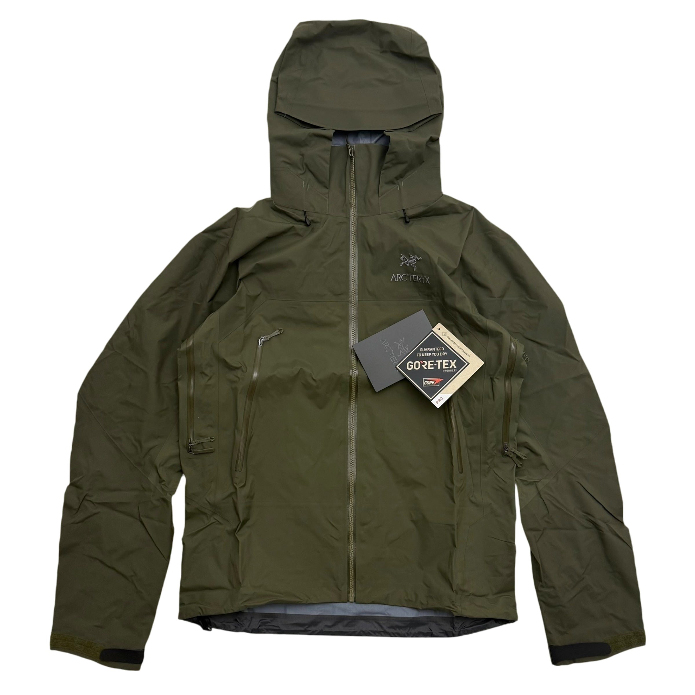 Arc'teryx Beta AR Gore-Tex Pro Jacket ‘Tatsu’ Green (Size M)