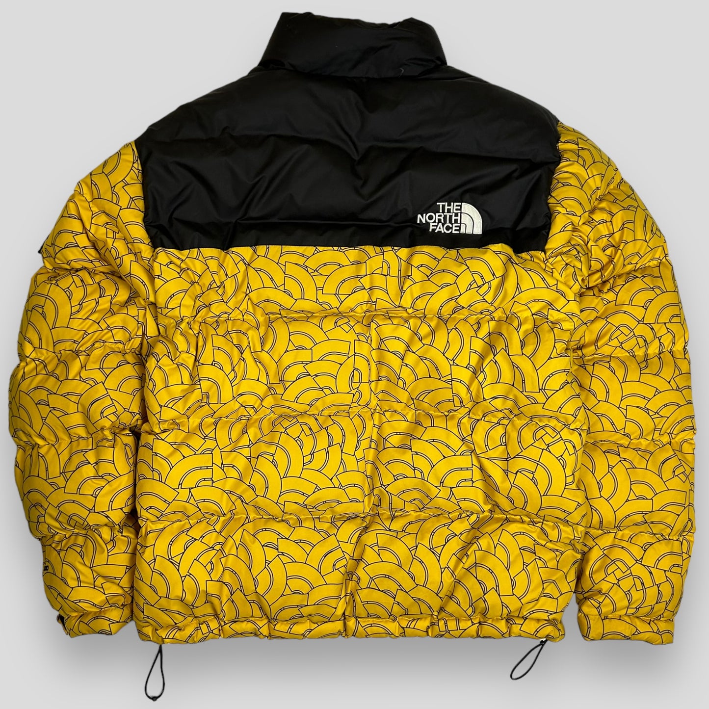 The North Face 1992 Retro Nupste 700 Dome-Print Down Jacket (Size L)