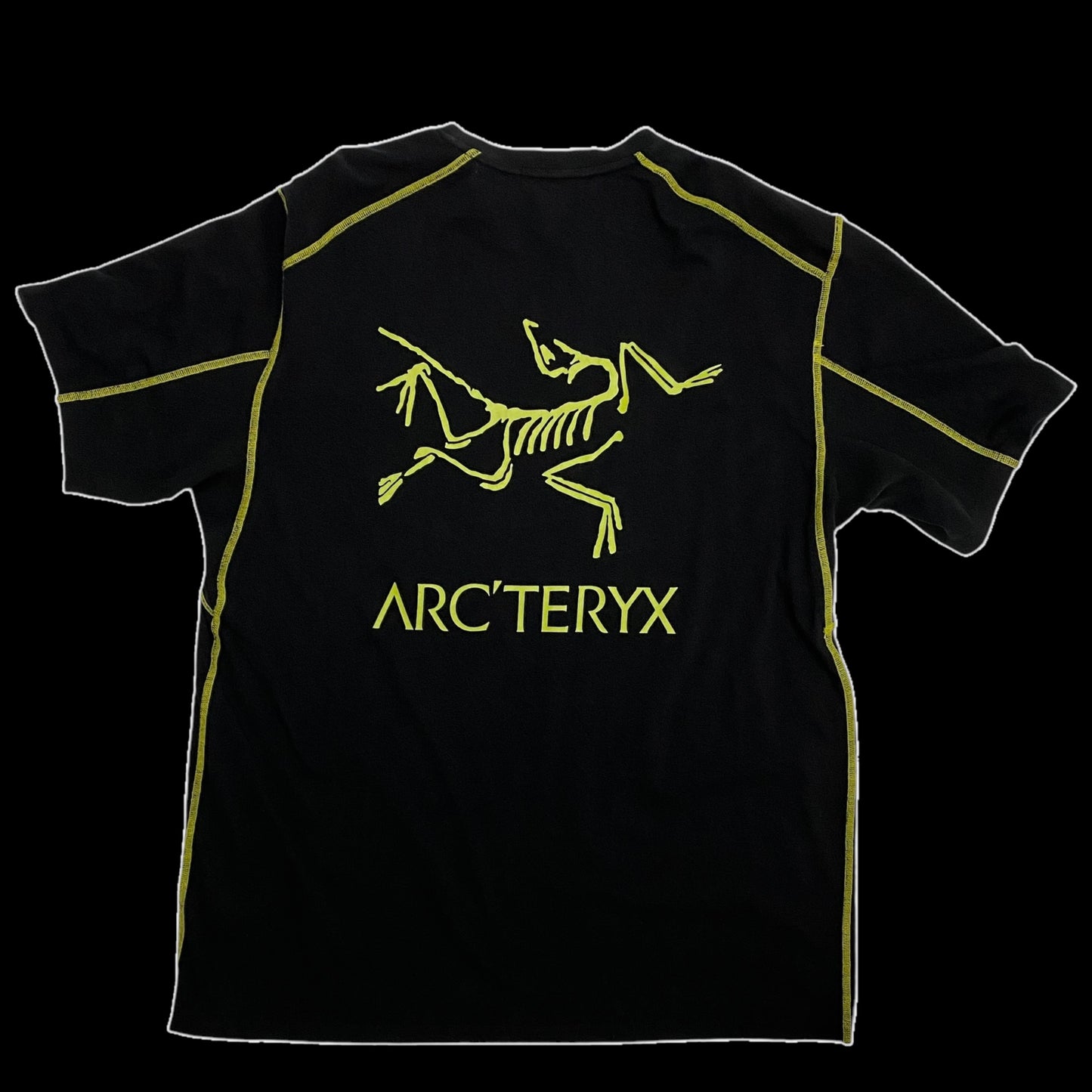 Arc'teryx System A Copal Bird T-shirt (Fits L-XL)