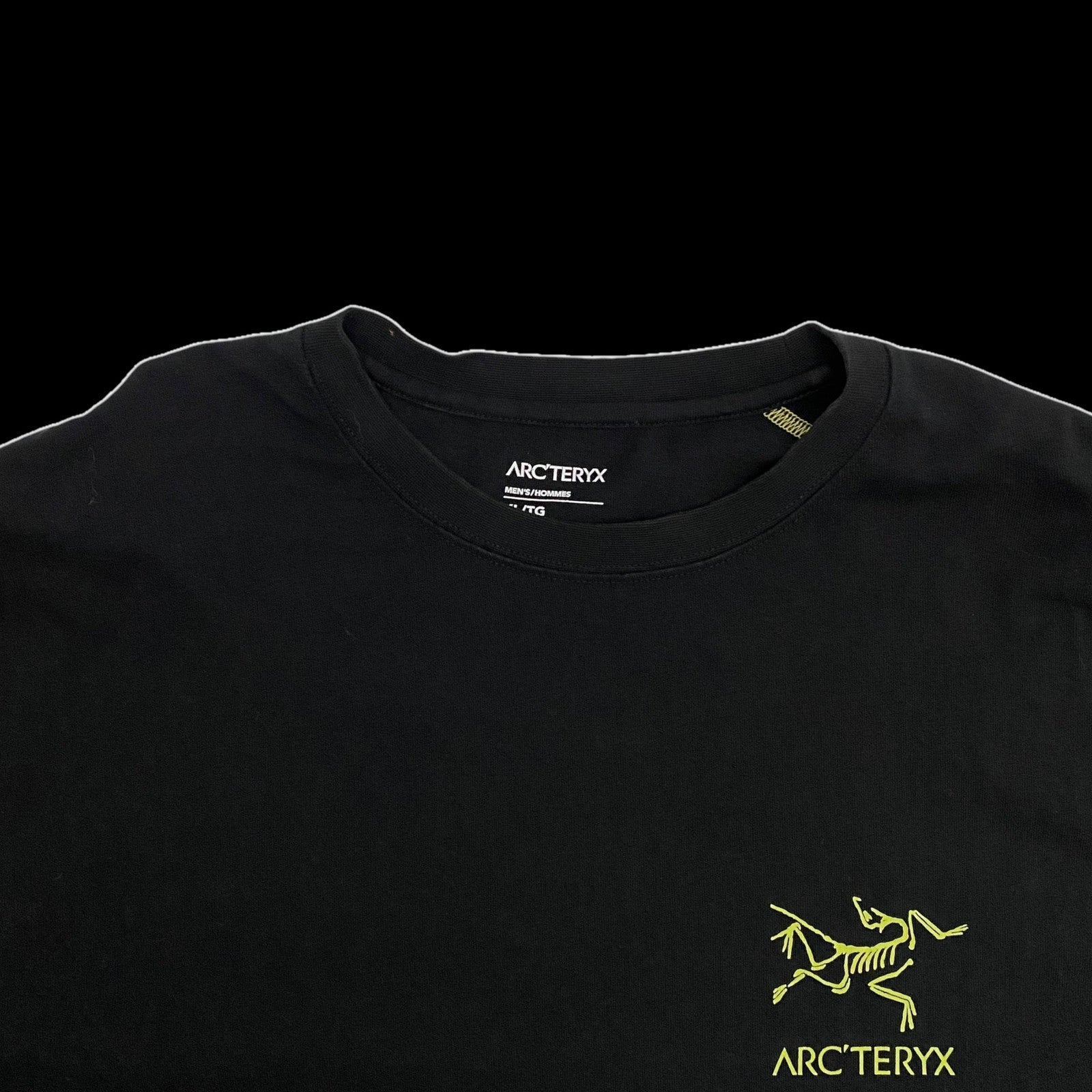 Arc'teryx System A Copal Bird T-shirt (Fits L-XL)