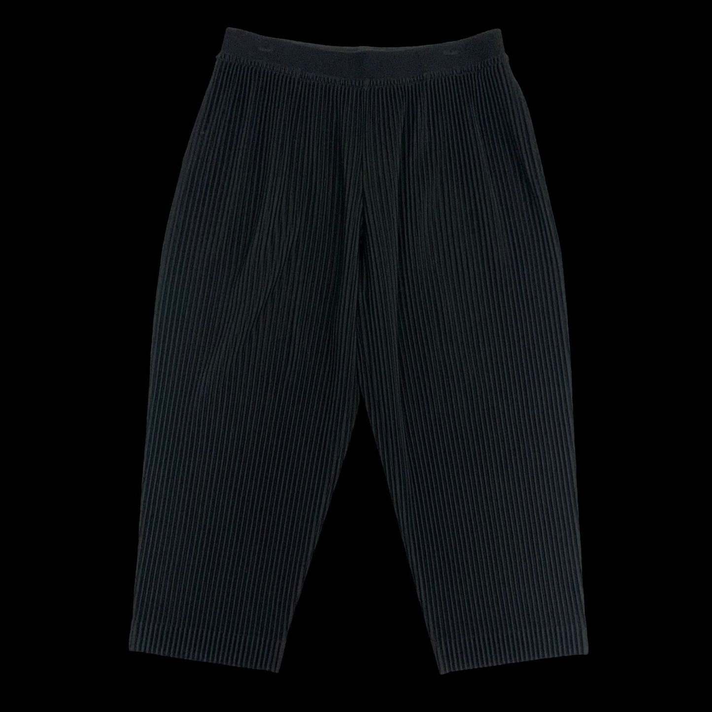 Issey Miyake HOMME PLISSÉ JF110 Wide Leg Pleated Pants Black (Fits 32-34")